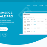 WooCommerce Wholesale Pro