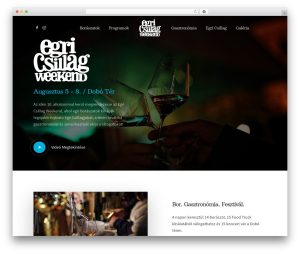 best-wordpress-theme-salient-j6dfk-o